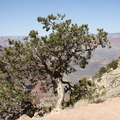 Grand Canyon Trip 2010 134